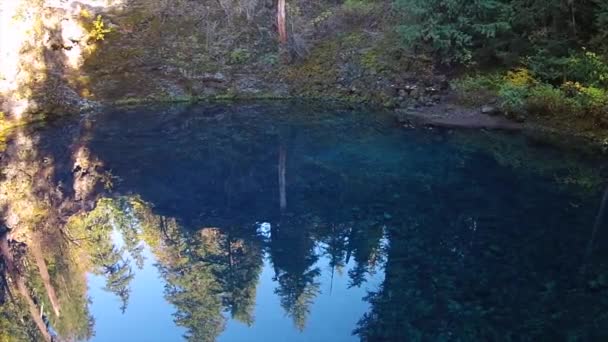 Tamolitch azul piscina Oregon — Vídeo de stock