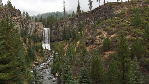 Tumalo Falls w stanie Oregon — Wideo stockowe