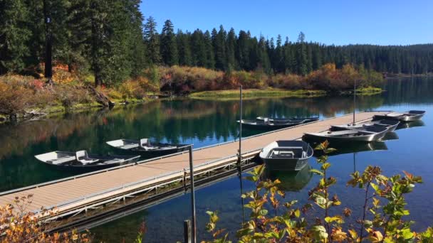 Limpar Lago Oregon — Vídeo de Stock