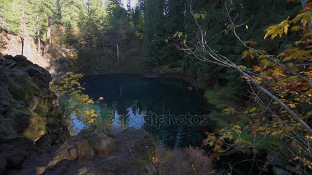 Tamolitch azul piscina Oregon — Vídeo de Stock