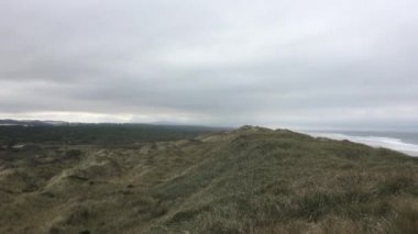 Güney iskelesi Beach Oregon kıyılarında
