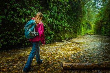 Fern Kanyon California keşfetmek backpacker