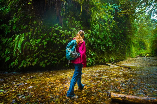 Backpacker exploring Fern Canyon California — Stock Photo, Image