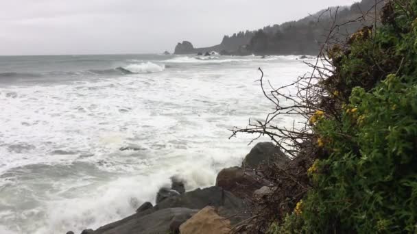 Costa de California día de lluvia carretera 101 — Vídeo de stock