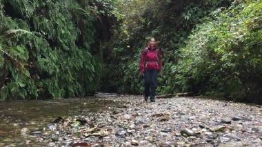 Fern Kanyon California keşfetmek backpacker