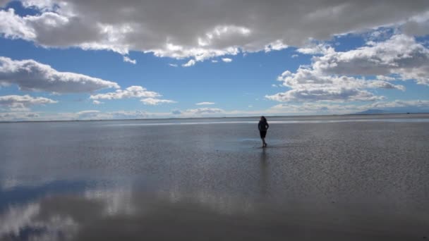 Боннвіль Солт-квартири Юта дівчина, що йде на мілкій воді — стокове відео