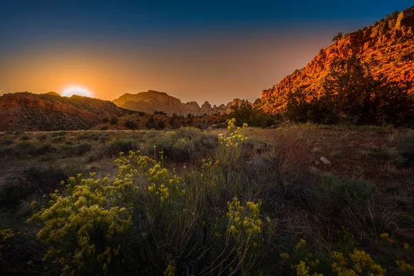 Parco nazionale di Zion — Foto Stock