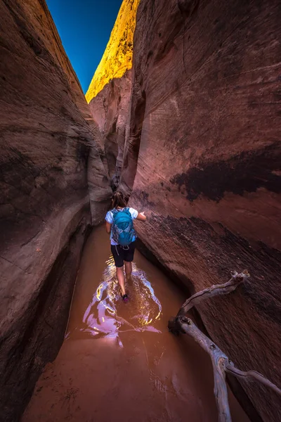 Backpacker meisje in het water Zebra Slot Canyon Escalante Utah — Stockfoto