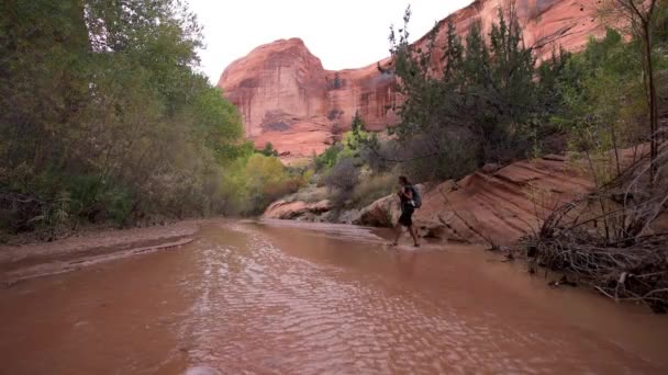 Batohem přes malý proud Coyote Gulch — Stock video