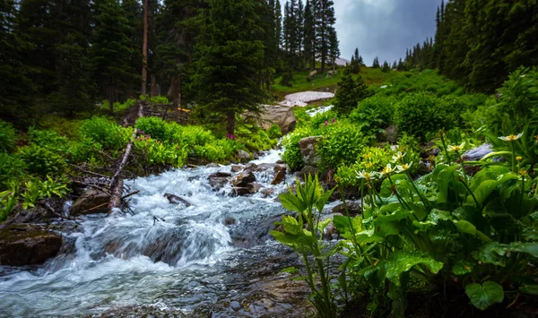 Colorado landschap water trapsgewijs in de buurt van Isabella lake trail — Stockfoto