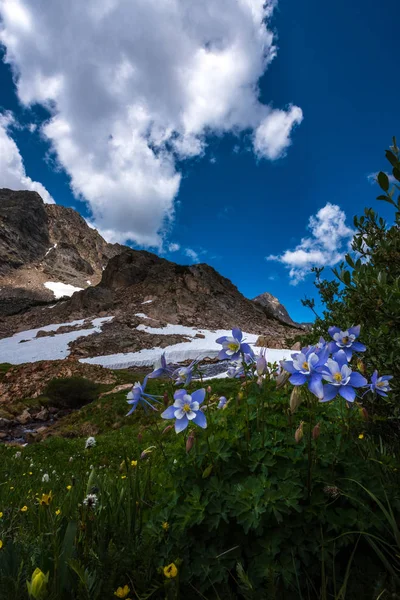 Blue Lake Outlet Derretimiento Snow Colorado Paisaje — Foto de Stock