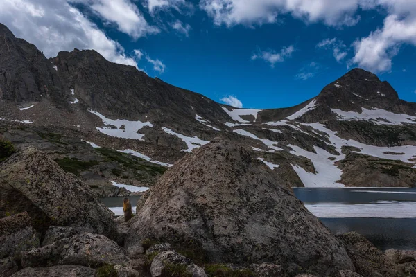 Marmotta dal ventre giallo a Blue Lake — Foto Stock