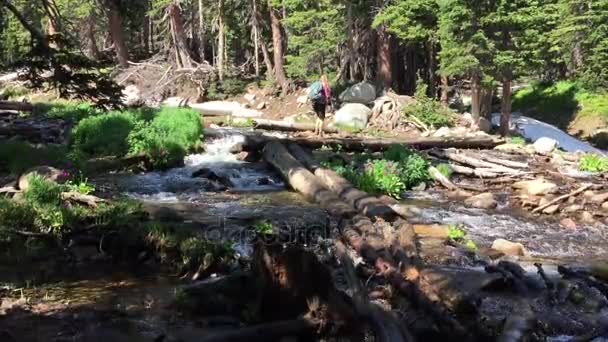 Caminhante atravessa um riacho perto de Mitchell Lake Colorado — Vídeo de Stock