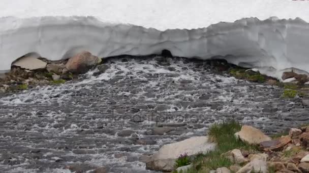 Blue Lake Outlet Melting Snow Colorado Landscape — Stock Video