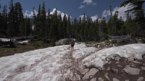 Mochilero entrando en el Valle cerca del Lago Azul Colorado — Vídeos de Stock