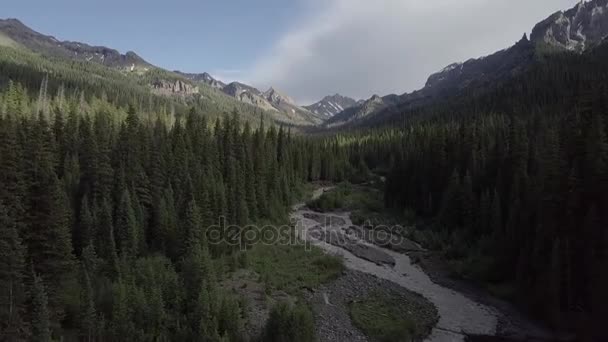 Cimarron Rivier San Juan Mountains — Stockvideo