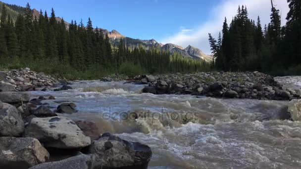 Midden Van Vork Van Lage Hoek Van Cimarron Rivier — Stockvideo