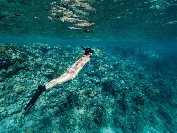 Turist Snorkeling Turquoise Red Sea Egypt Стоковое Фото