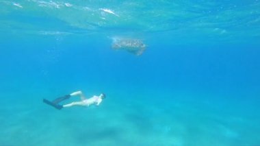 Kız serbest dalış dev deniz kaplumbağası Kızıldeniz Mısır Marsa Alam hayran