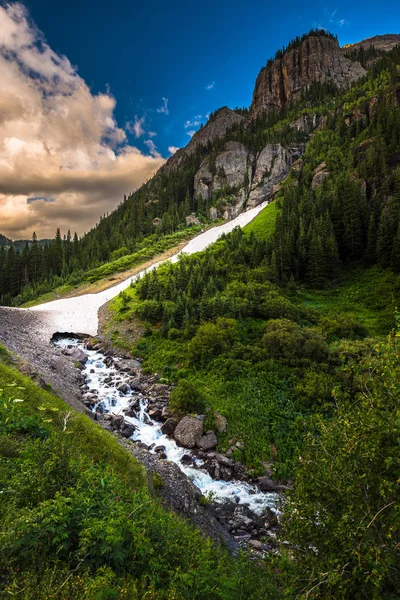 Ingenjören Pass del av Alpine Loop Coloradofloden Uncompahgre wit — Stockfoto