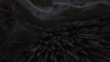 Batı çatal Cimarron nehir Colorado manzara