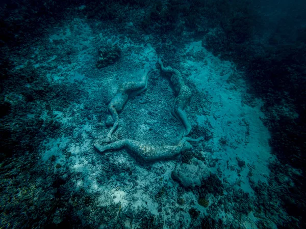 Estatuas submarinas en el fondo del mar en Gili Meno Indones — Foto de Stock