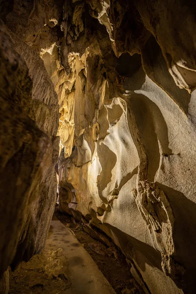 Gato de la cueva de Trung Ba Vietnam — Foto de Stock