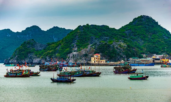 Cat Ba Vietnam barcos de pesca en el puerto — Foto de Stock