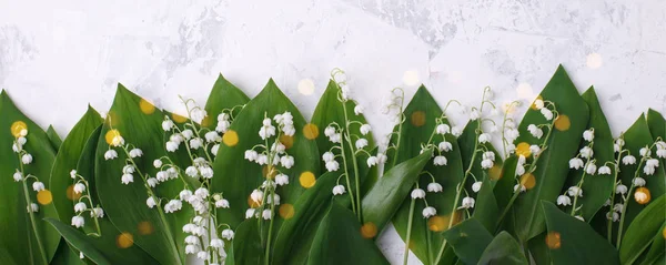 Spring season background, fresh lily of the valley flower on whi