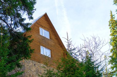 Kışın ev köknar ağaçlarının arka planında