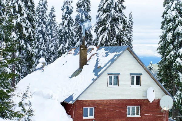 Maison Hiver Sur Fond Sapins — Photo