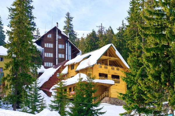 Haus Winter Vor Dem Hintergrund Von Tannen — Stockfoto