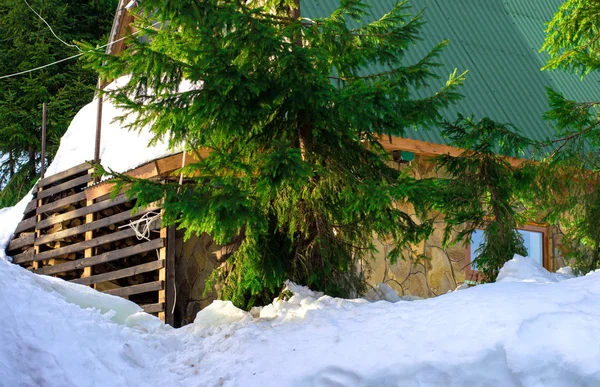 Huis Winter Tegen Achtergrond Van Dennenbomen — Stockfoto