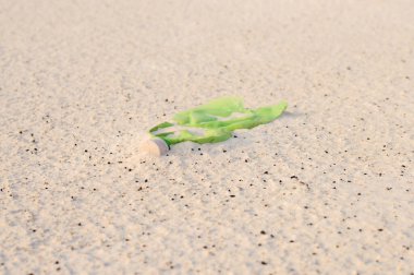 Çöpe atılmış plastik şişe kumda.