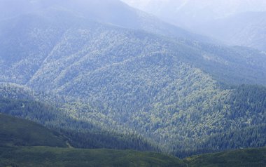 Yeşil dağ ormanları uzak yamaçlarda