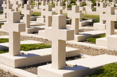 Mezarlıkta, beyaz haçlar sıra sıra duruyor.