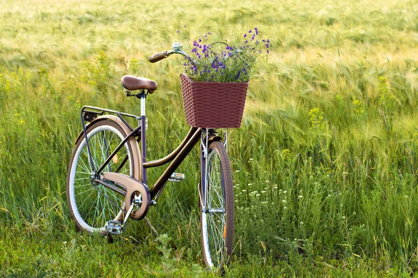 Rower Kwiatami Koszyku Polu — Zdjęcie stockowe