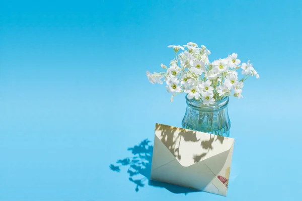 Fleurs Blanches Dans Pot Sur Fond Bleu Côté Une Enveloppe — Photo