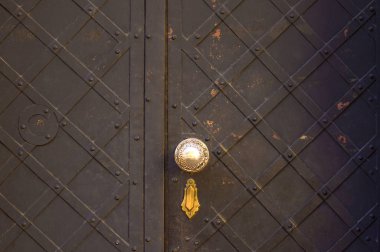 texture of iron painted doors