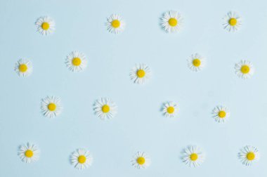 Renkli kağıtta küçük papatya çiçekleri