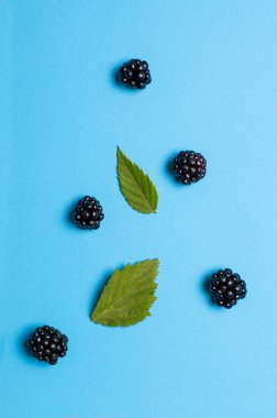 blackberry on a blue background with green leaves