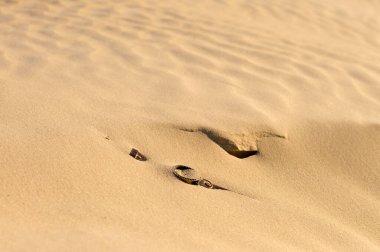 watches are covered with sand