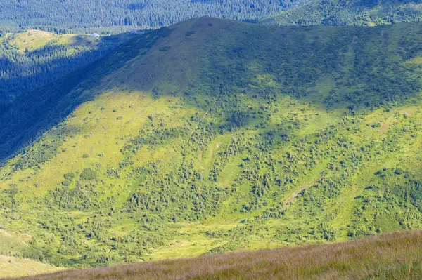 Păduri Munte Verzi Pârtii Departe — Fotografie, imagine de stoc