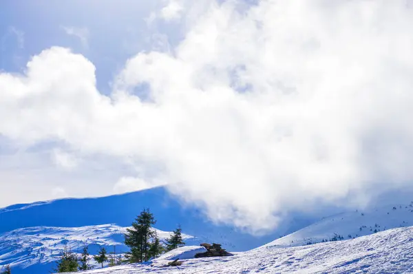 Photo Winter Mountain Landscape — 스톡 사진