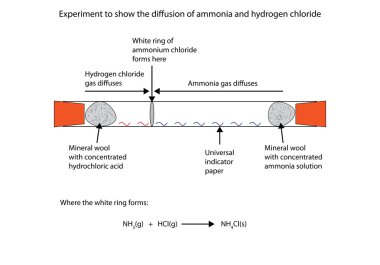 Illustration of ammonia and hydrogen chloride difussion clipart