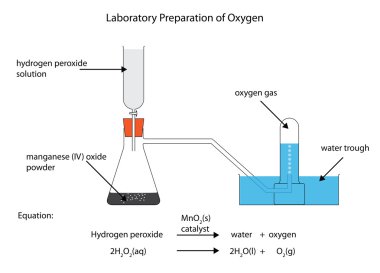 Oksijen laboratuvar hazırlanması