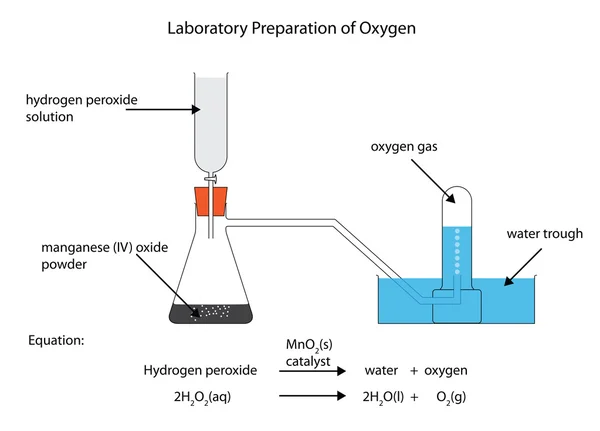 Laboratory preparation of oxygen — Stock Vector