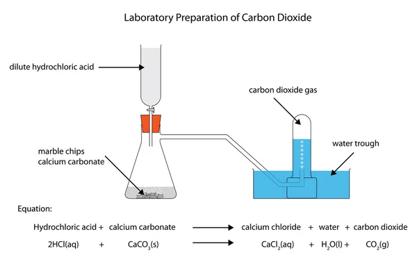 Diagrama da preparação laboratorial do dióxido de carbono — Vetor de Stock