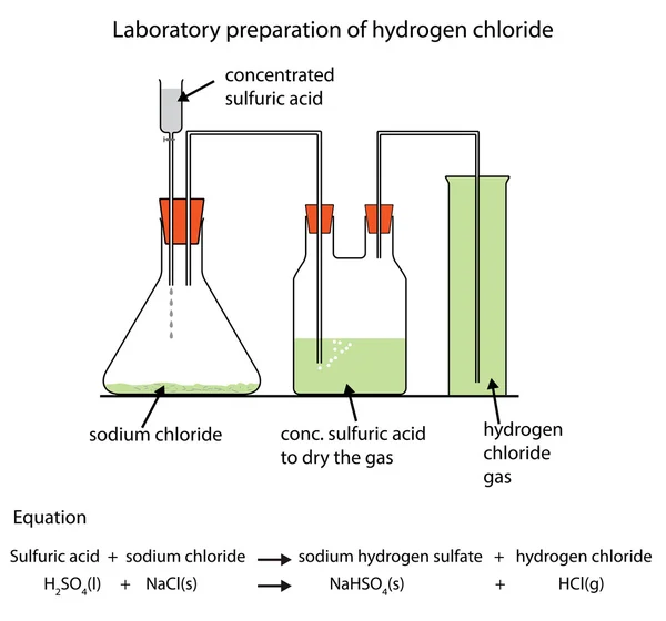 Hidroklorik asit gaz hazırlanması diyagramı — Stok Vektör