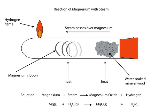 Ilustración completamente etiquetada de la reacción de magnesio con vapor — Archivo Imágenes Vectoriales